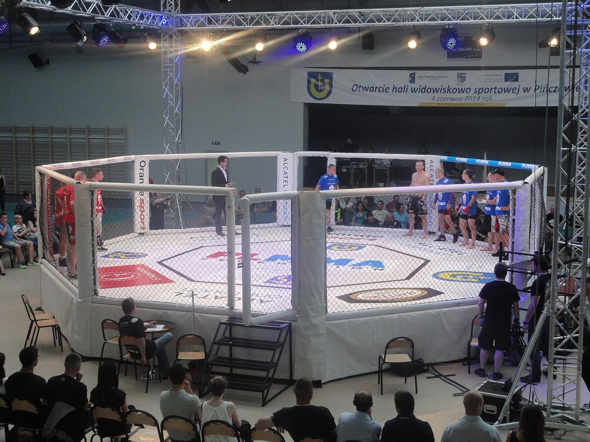 Чемпион UFC призвал к революции в США