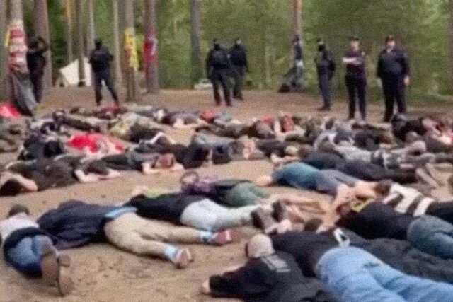 Под Выборгом на панк-фестивале задержали около 100 человек