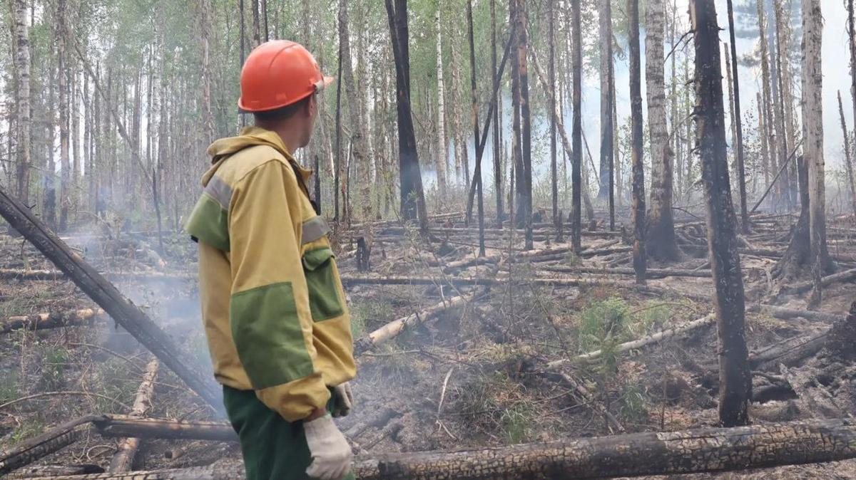 В Монако отпустили подозреваемого в покушении на украинского бизнесмена Ермолаева